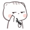 Kucing gemoy 11