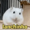 Reações e pets 😍 8