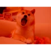 Dog Animated 28