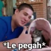 😻Gatitos con Frases🧶 21