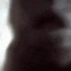 Monkeys 27