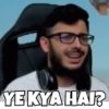 Animated Memes 9