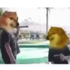 Trending Memes 9