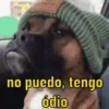 NO PUEDO  8