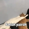 Kitty 11