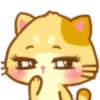 GatitoCute 6
