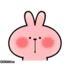 Spoiled Rabbit Facial Animation 8