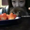 jennie 5