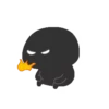 Black Bunny 10