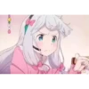 shitpostlidreron 11