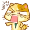 GatitoCute 11