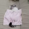 VideoKomaru2 9