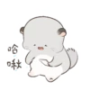 Fluffy Couple Siba 10