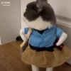 Cats Compilation 9