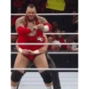 Wrestling 11