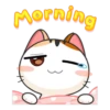 Gojill The Meow Animated V.1 6