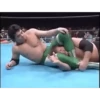 Wrestling 16