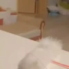 kittysnewpack 10