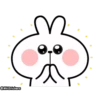Spoiled Rabbit Facial Animation 17