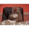 Monkey 15