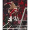 Wrestling 20