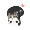Black Bunny 23