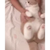 Kitten 21