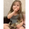 Kitten 22
