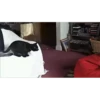 Cats Compilation 19