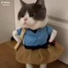 kittysnewpack 14