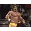 Wrestling 27