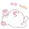 Happy Bunny 18