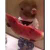 Monkey 22