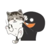 Black Bunny 26