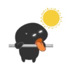 Black Bunny 27