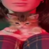 Kitty Pack 24