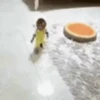 Monkey 26