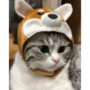 Cats Compilation 27