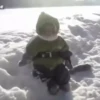 cute monkeys 5