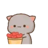 Mochi 7