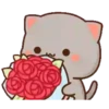 Mochi 10