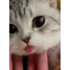 😽 Mood 8