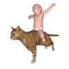 memes 5