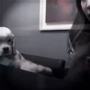 jennie 6