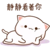mochi peach cats 8