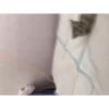котики длR котRт х2 :: @fStikBot 6