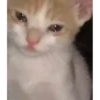😽 Mood 11