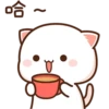 mochi peach cats 11