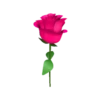 Flowers 2 7