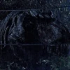 Jurassic Park 10